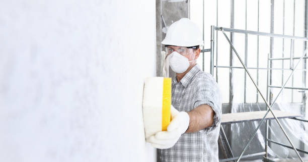 Stevensville, MD Mold Removal Services Company